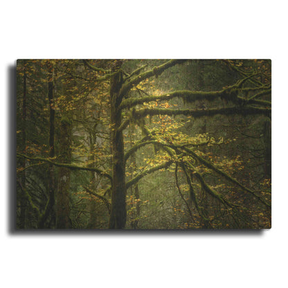 Luxe Metal Art 'Golden Drops' by Enrico Fossati, Metal Wall Art