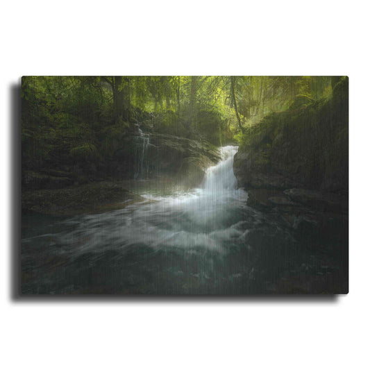 Luxe Metal Art 'Stream of Life' by Enrico Fossati, Metal Wall Art