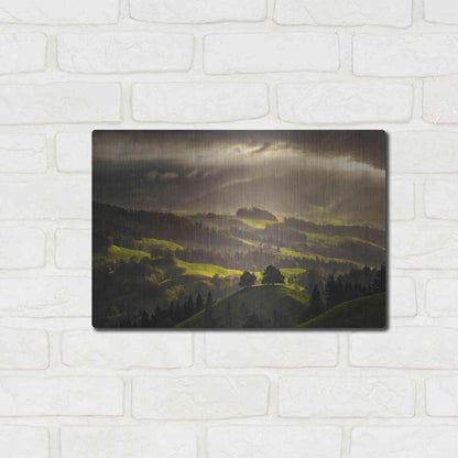 Luxe Metal Art 'The Shire' by Enrico Fossati, Metal Wall Art,16x12