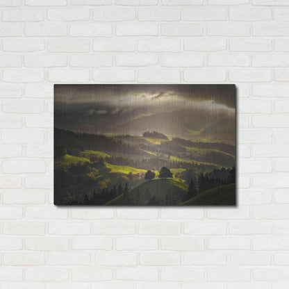 Luxe Metal Art 'The Shire' by Enrico Fossati, Metal Wall Art,36x24