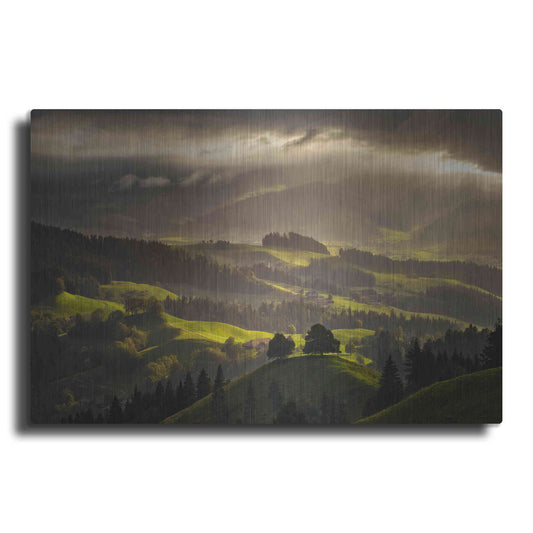 Luxe Metal Art 'The Shire' by Enrico Fossati, Metal Wall Art