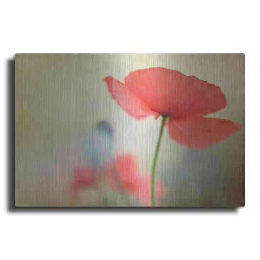 Luxe Metal Art 'Poppy' by Kim Fearheiley, Metal Wall Art