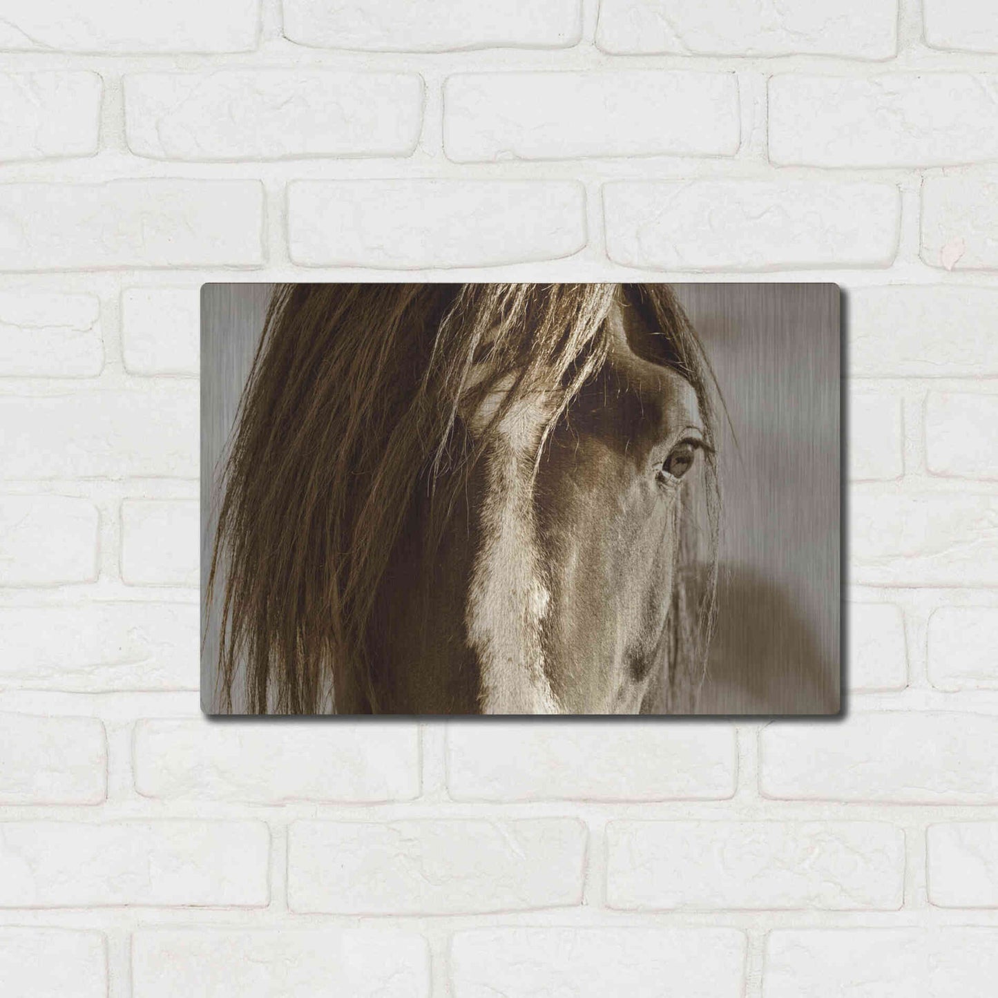 Luxe Metal Art 'Amante' by Lisa Dearing, Metal Wall Art,16x12