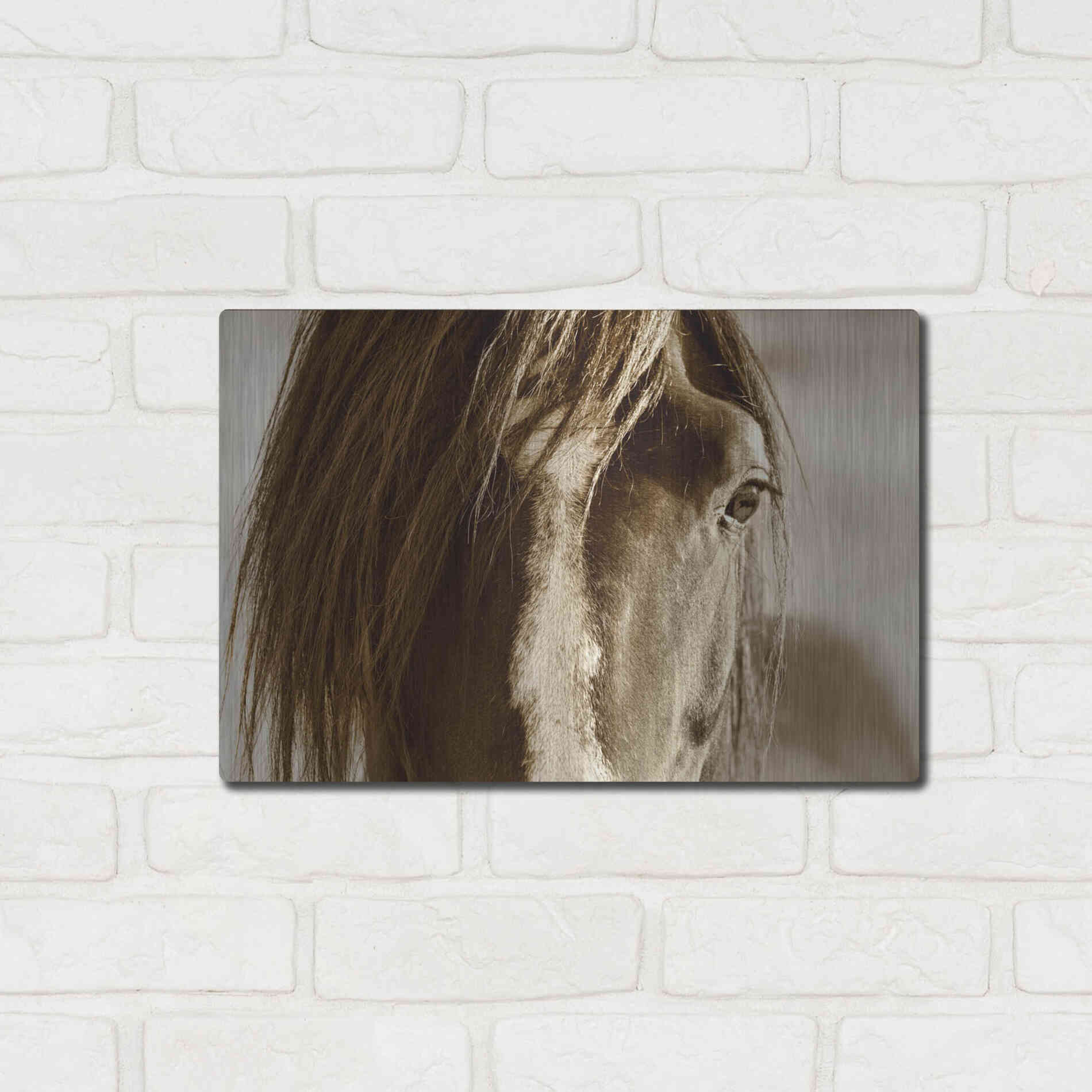 Luxe Metal Art 'Amante' by Lisa Dearing, Metal Wall Art,16x12