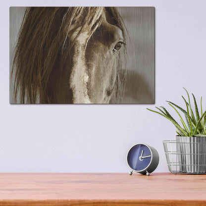 Luxe Metal Art 'Amante' by Lisa Dearing, Metal Wall Art,16x12