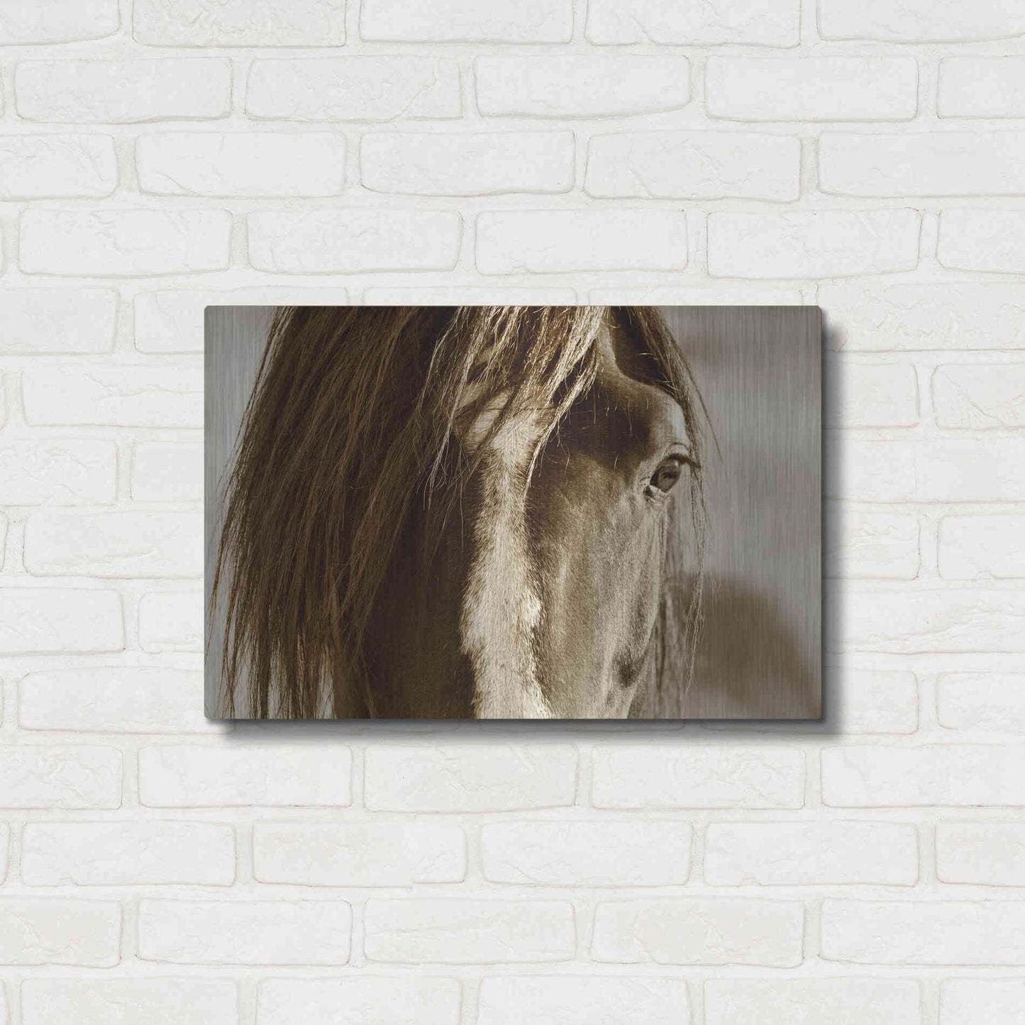 Luxe Metal Art 'Amante' by Lisa Dearing, Metal Wall Art,24x16