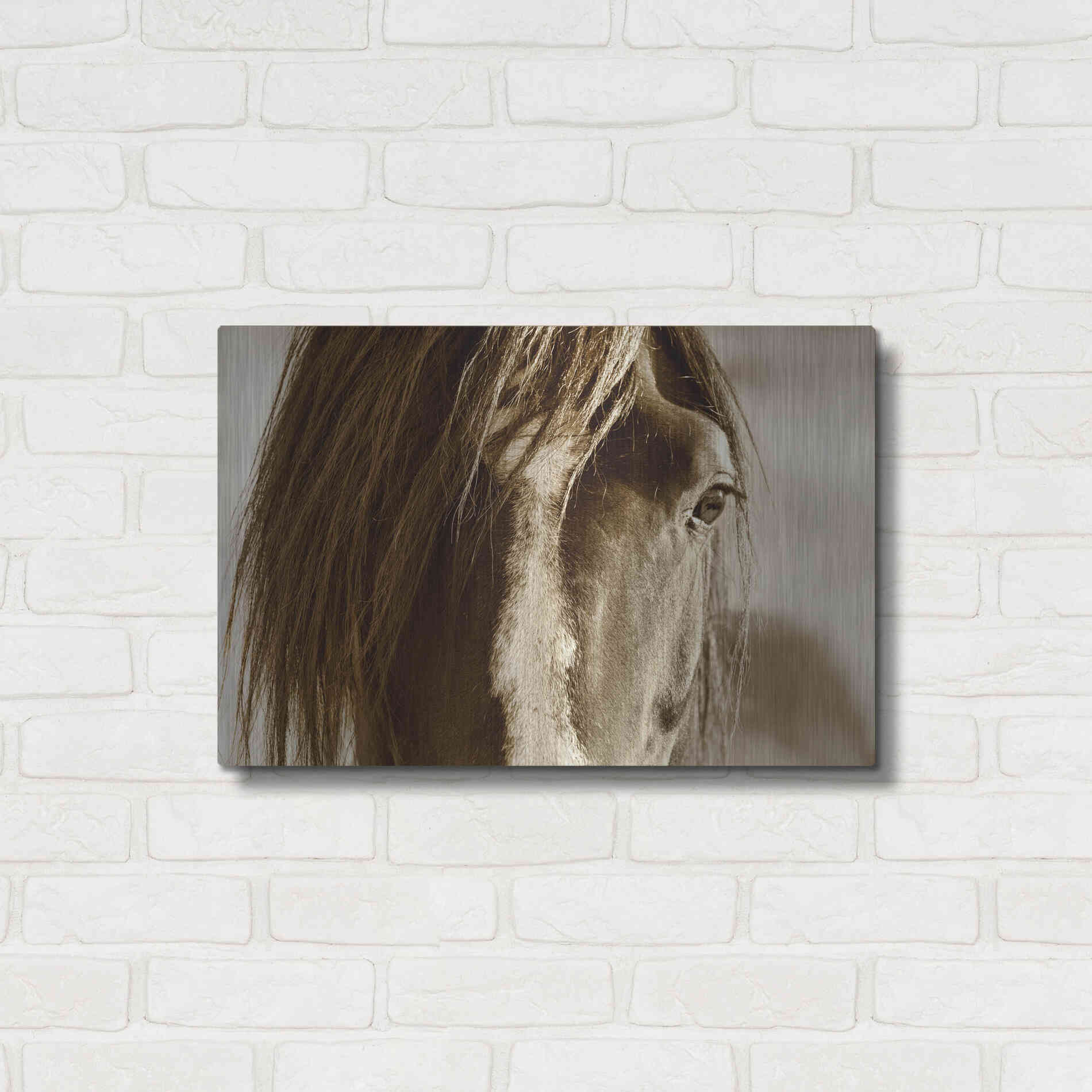 Luxe Metal Art 'Amante' by Lisa Dearing, Metal Wall Art,24x16