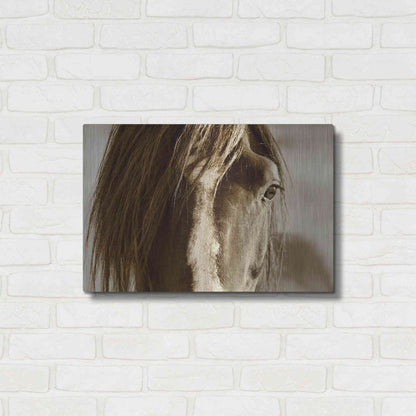 Luxe Metal Art 'Amante' by Lisa Dearing, Metal Wall Art,24x16