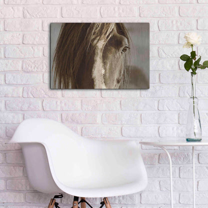 Luxe Metal Art 'Amante' by Lisa Dearing, Metal Wall Art,24x16