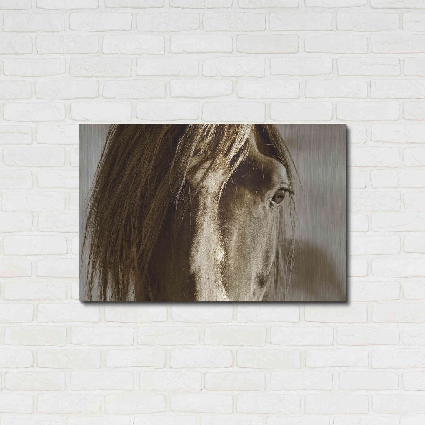 Luxe Metal Art 'Amante' by Lisa Dearing, Metal Wall Art,36x24