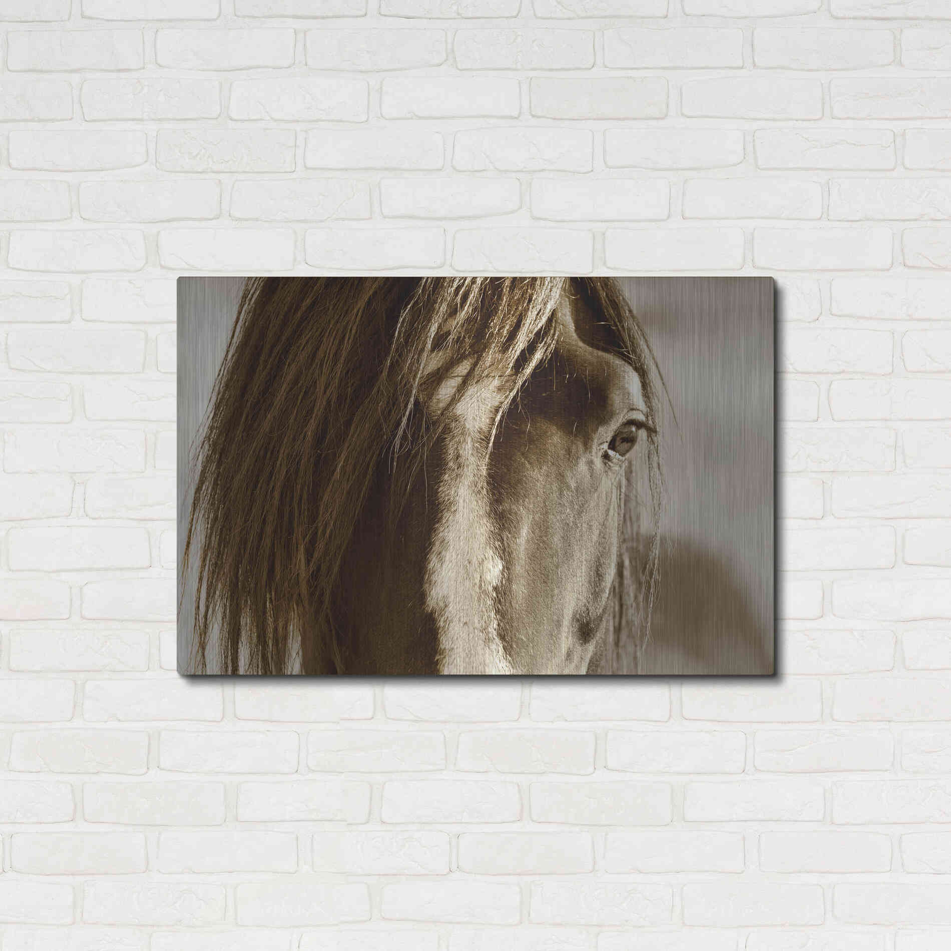 Luxe Metal Art 'Amante' by Lisa Dearing, Metal Wall Art,36x24