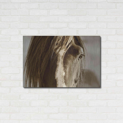 Luxe Metal Art 'Amante' by Lisa Dearing, Metal Wall Art,36x24