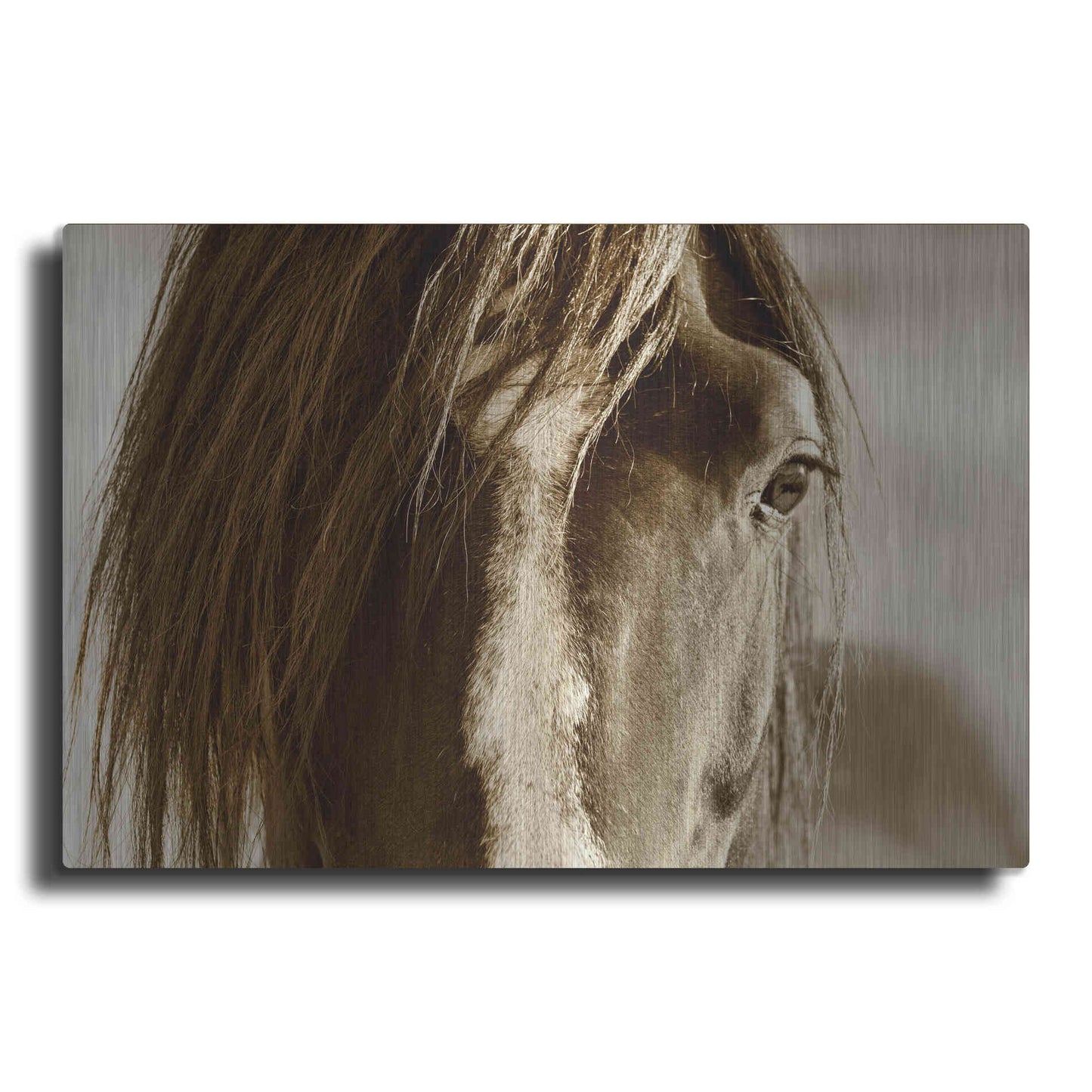 Luxe Metal Art 'Amante' by Lisa Dearing, Metal Wall Art