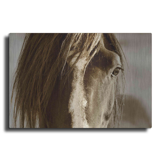 Luxe Metal Art 'Amante' by Lisa Dearing, Metal Wall Art