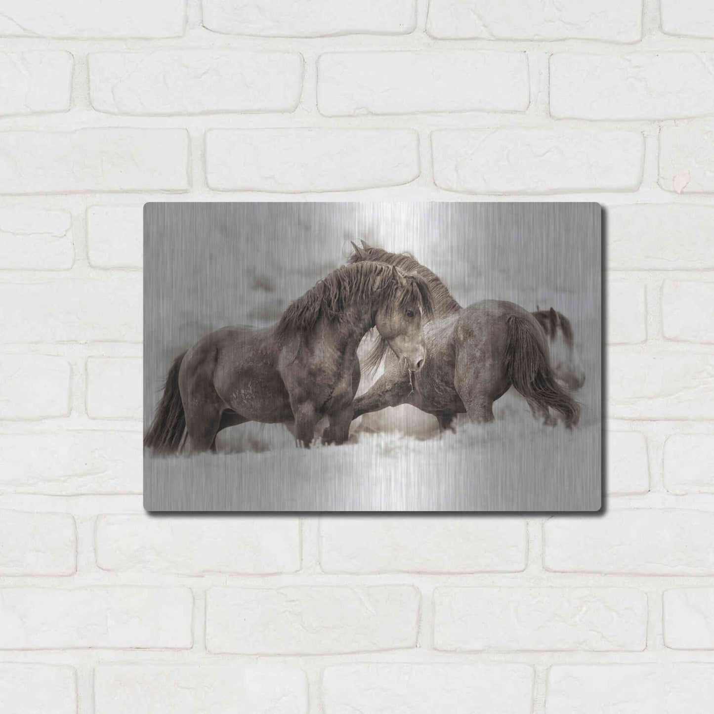 Luxe Metal Art 'Brothers' by Lisa Dearing, Metal Wall Art,16x12