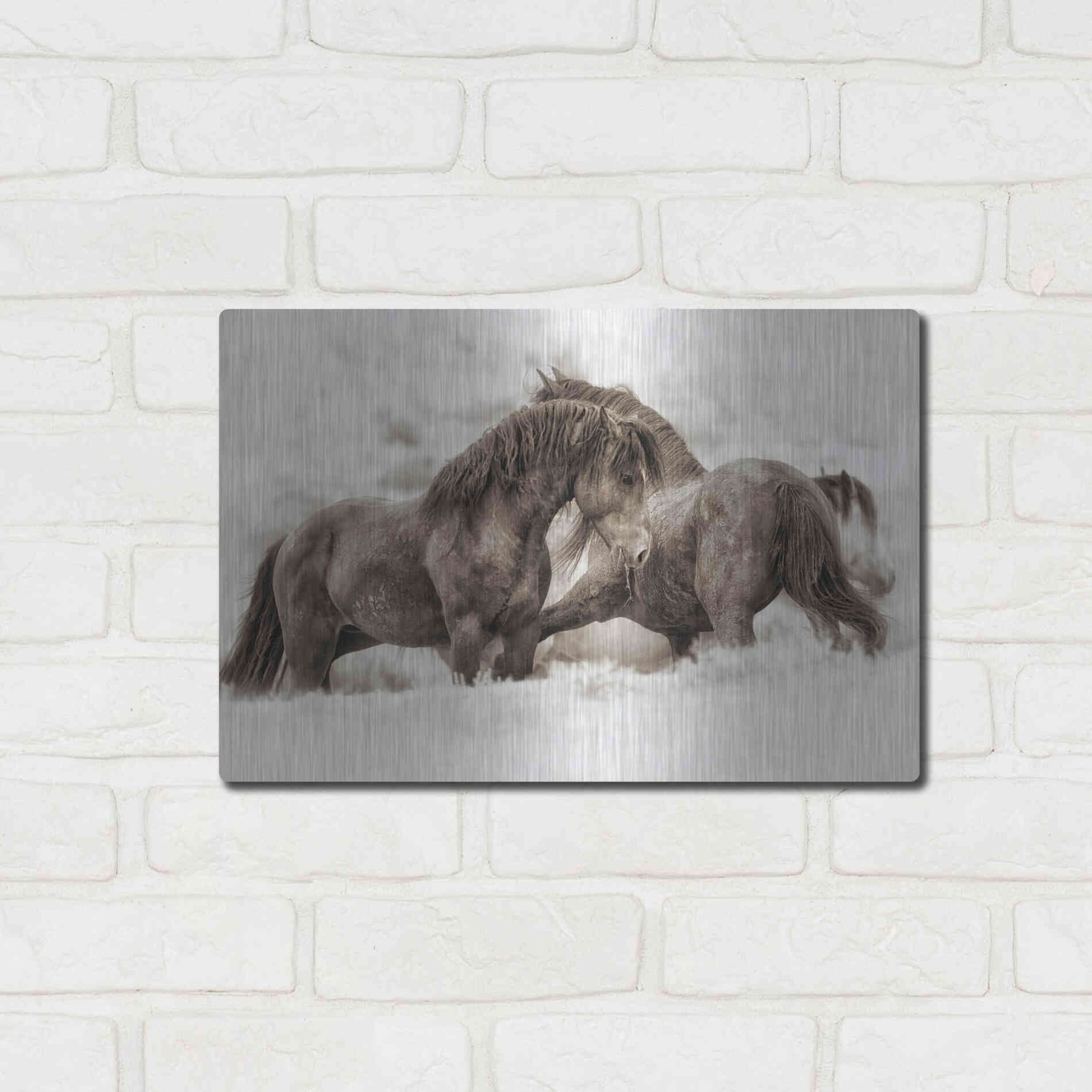 Luxe Metal Art 'Brothers' by Lisa Dearing, Metal Wall Art,16x12