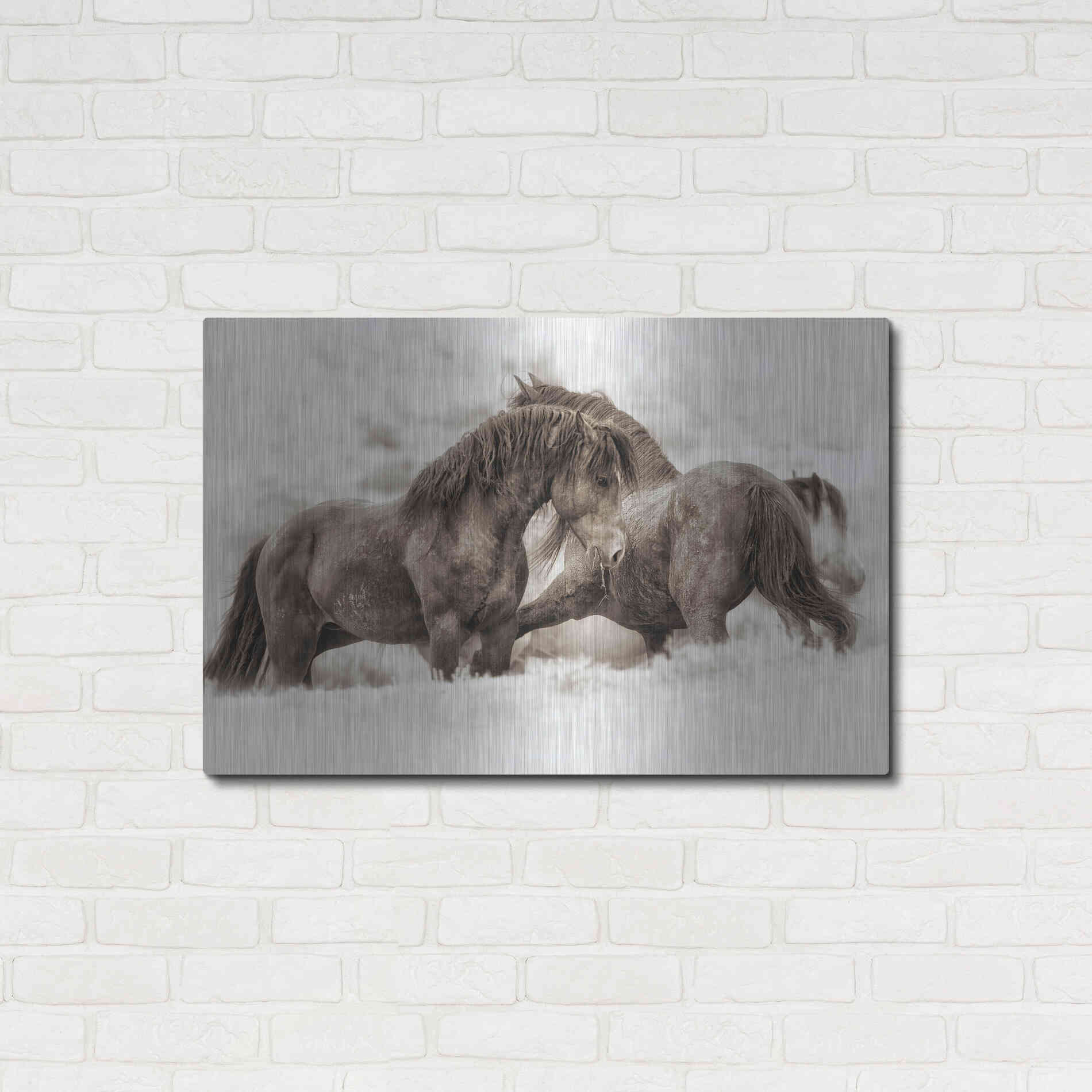 Luxe Metal Art 'Brothers' by Lisa Dearing, Metal Wall Art,36x24