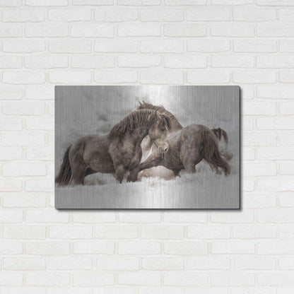 Luxe Metal Art 'Brothers' by Lisa Dearing, Metal Wall Art,36x24