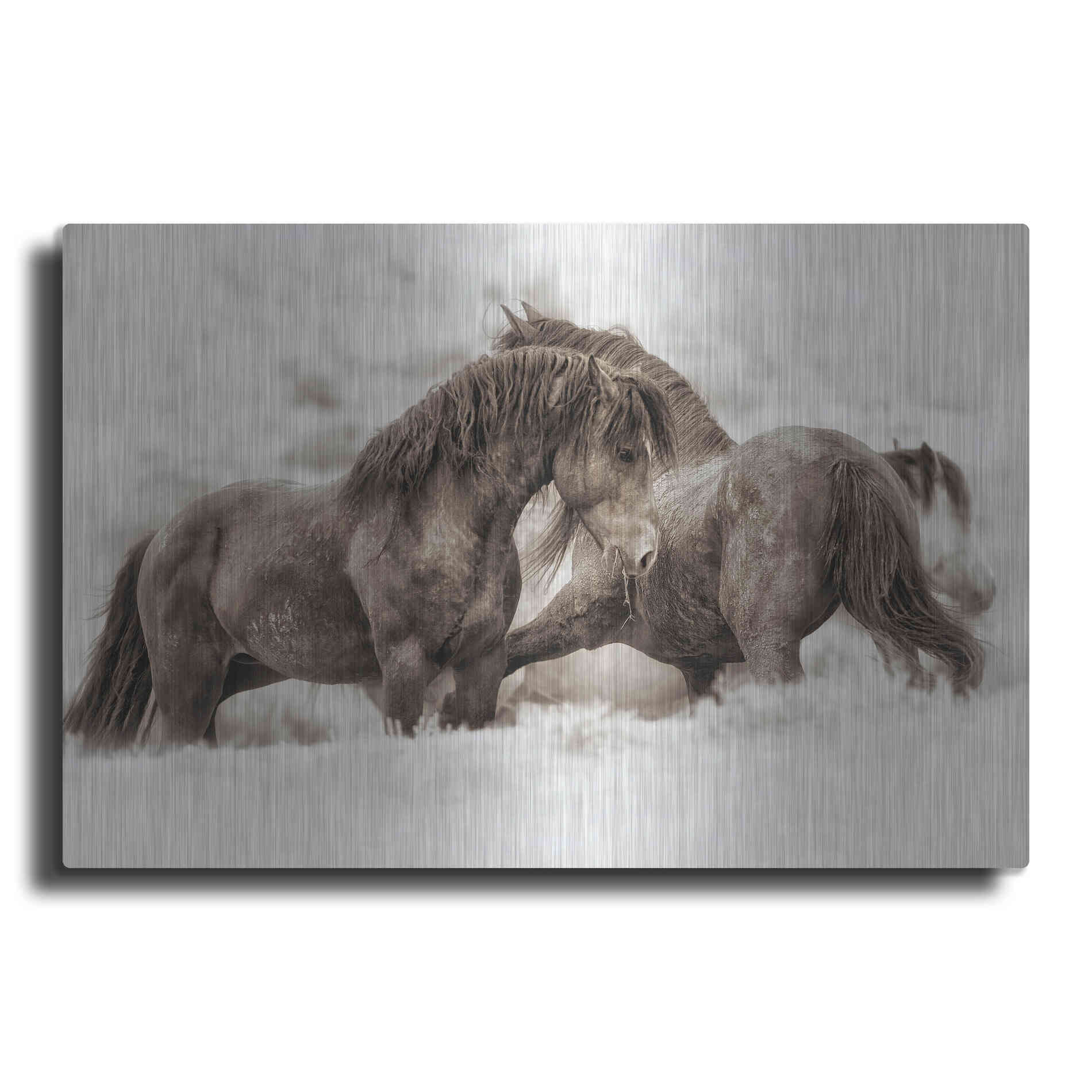 Luxe Metal Art 'Brothers' by Lisa Dearing, Metal Wall Art