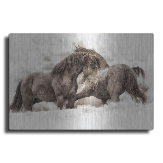 Luxe Metal Art 'Brothers' by Lisa Dearing, Metal Wall Art