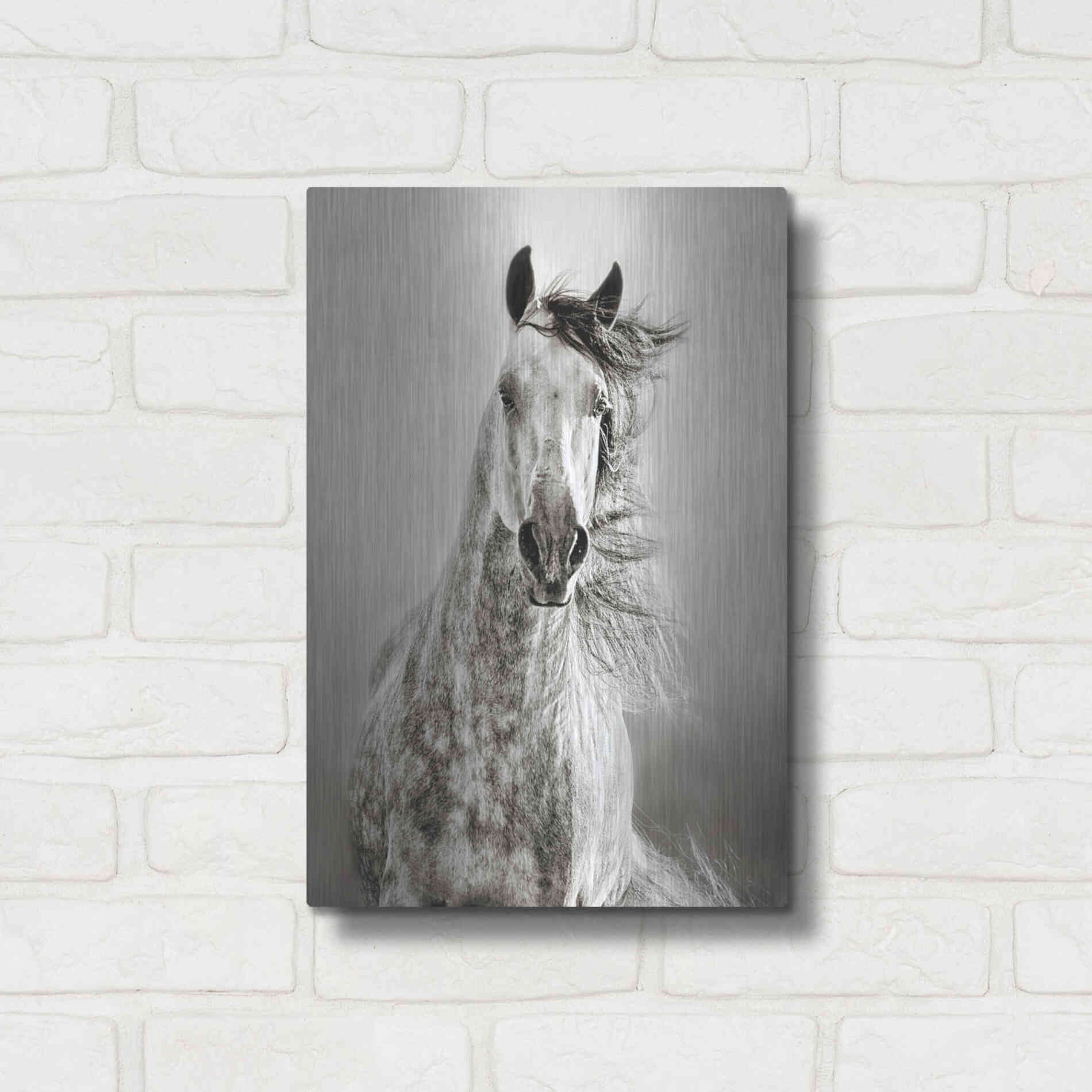 Luxe Metal Art 'Caballo de Andaluz' by Lisa Dearing, Metal Wall Art,12x16