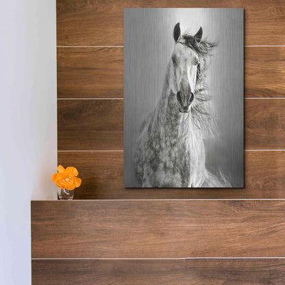 Luxe Metal Art 'Caballo de Andaluz' by Lisa Dearing, Metal Wall Art,12x16