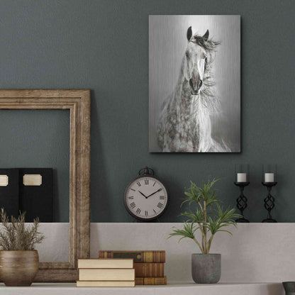 Luxe Metal Art 'Caballo de Andaluz' by Lisa Dearing, Metal Wall Art,12x16