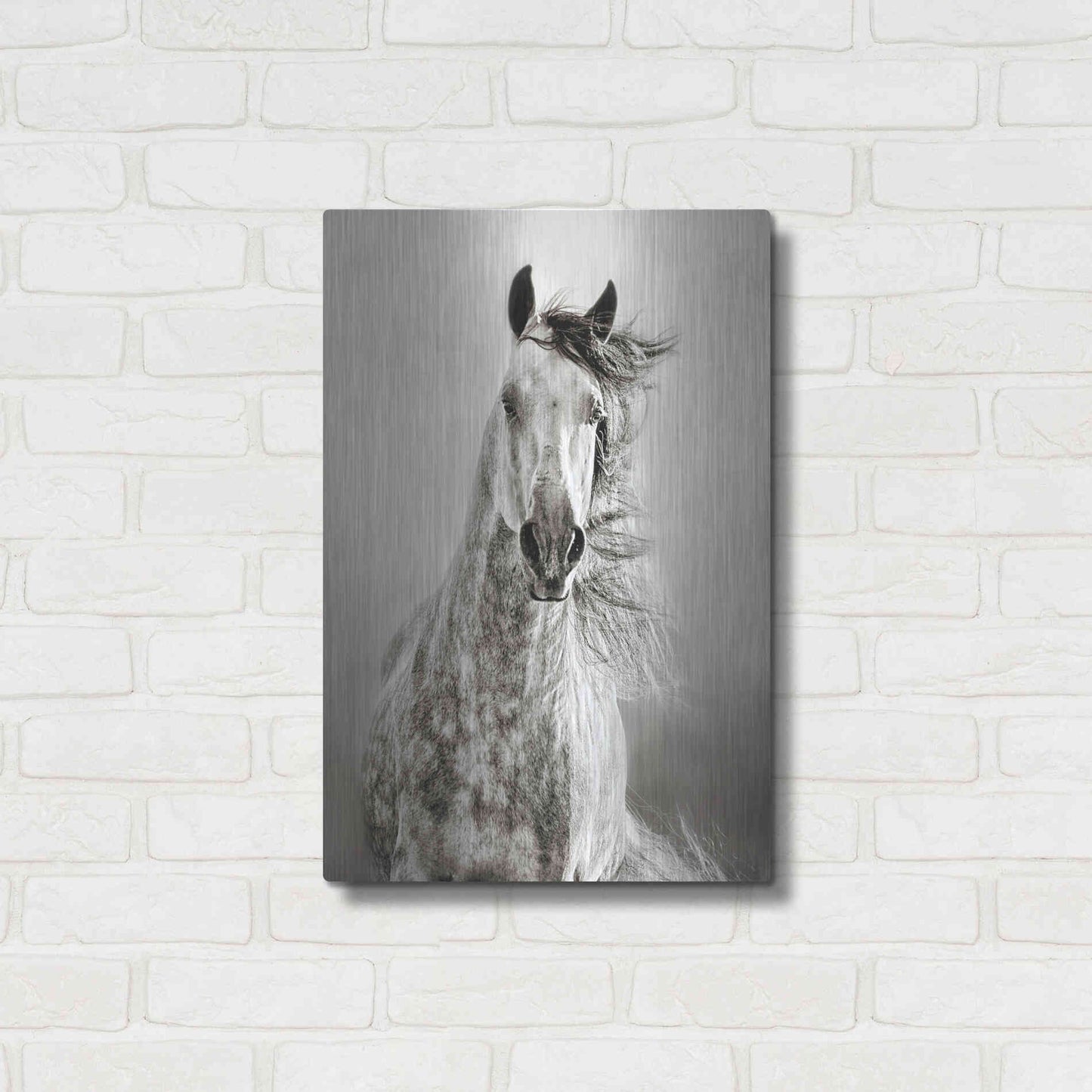 Luxe Metal Art 'Caballo de Andaluz' by Lisa Dearing, Metal Wall Art,16x24