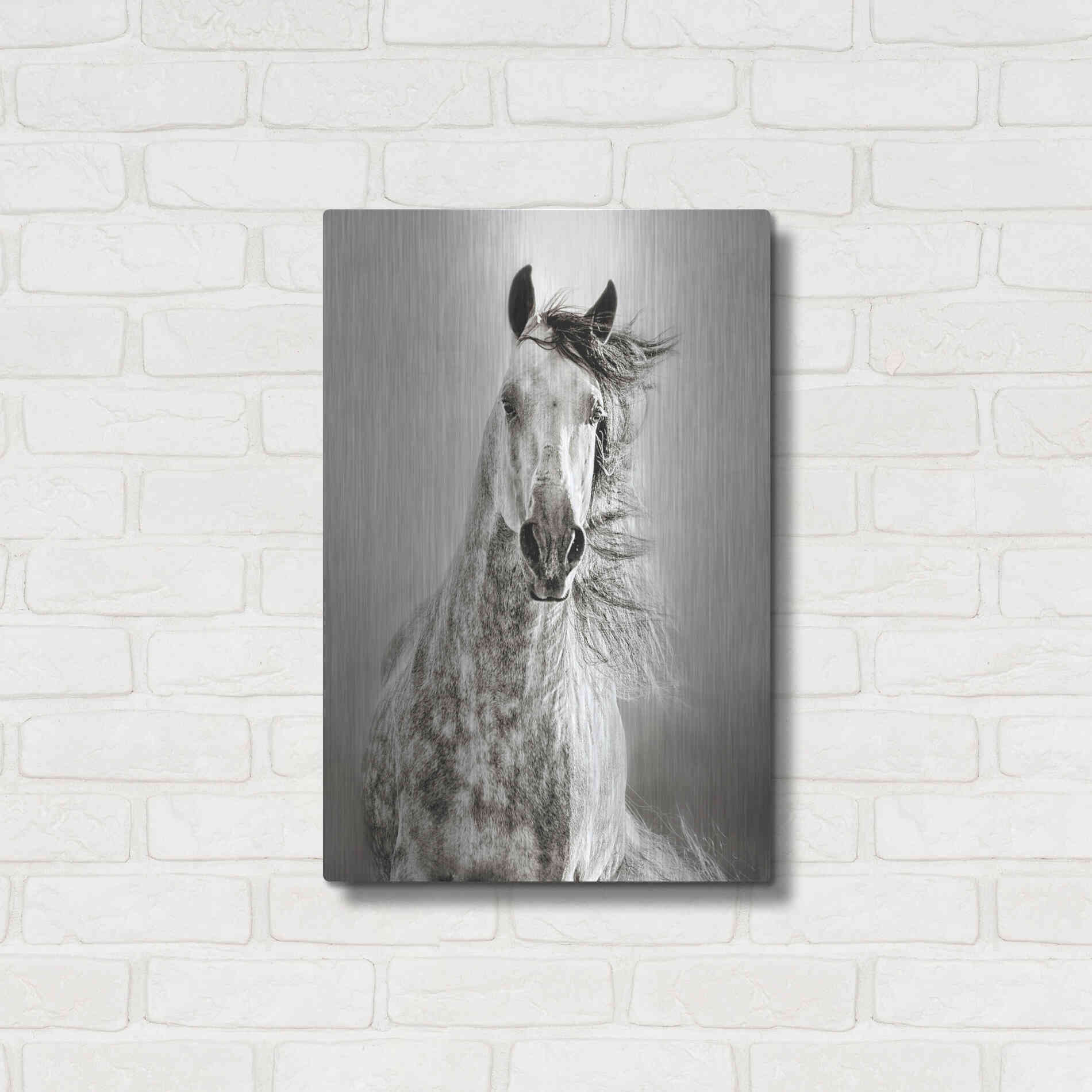 Luxe Metal Art 'Caballo de Andaluz' by Lisa Dearing, Metal Wall Art,16x24