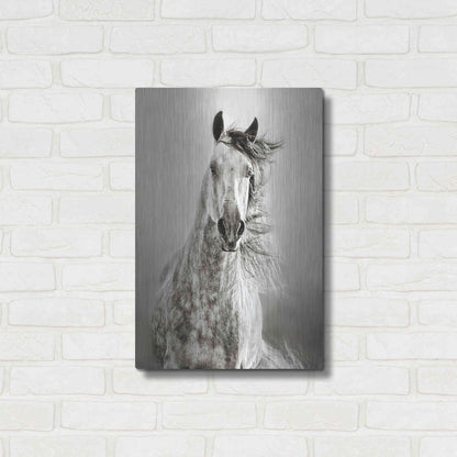 Luxe Metal Art 'Caballo de Andaluz' by Lisa Dearing, Metal Wall Art,16x24