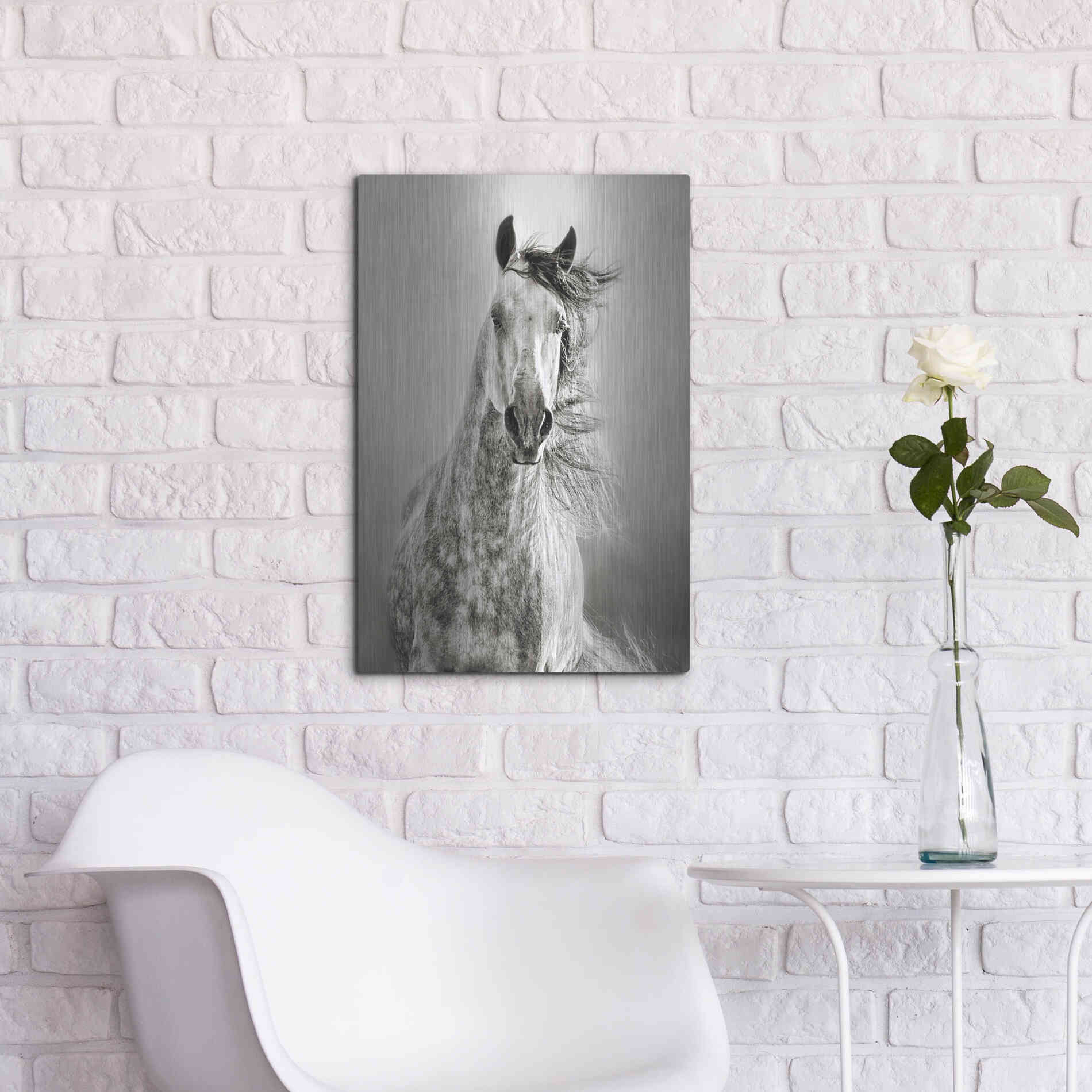 Luxe Metal Art 'Caballo de Andaluz' by Lisa Dearing, Metal Wall Art,16x24
