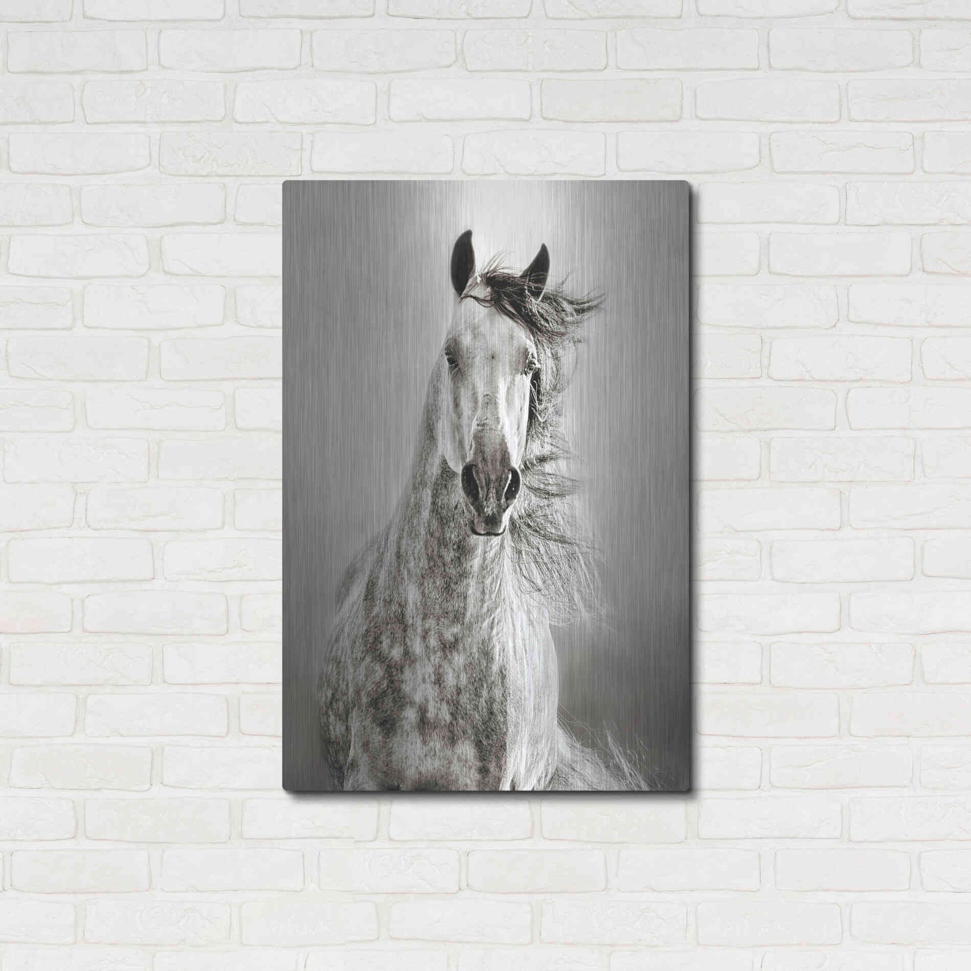 Luxe Metal Art 'Caballo de Andaluz' by Lisa Dearing, Metal Wall Art,24x36