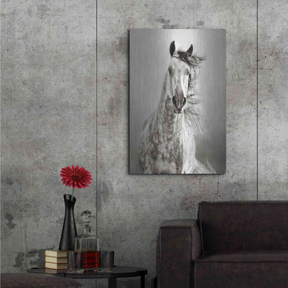 Luxe Metal Art 'Caballo de Andaluz' by Lisa Dearing, Metal Wall Art,24x36