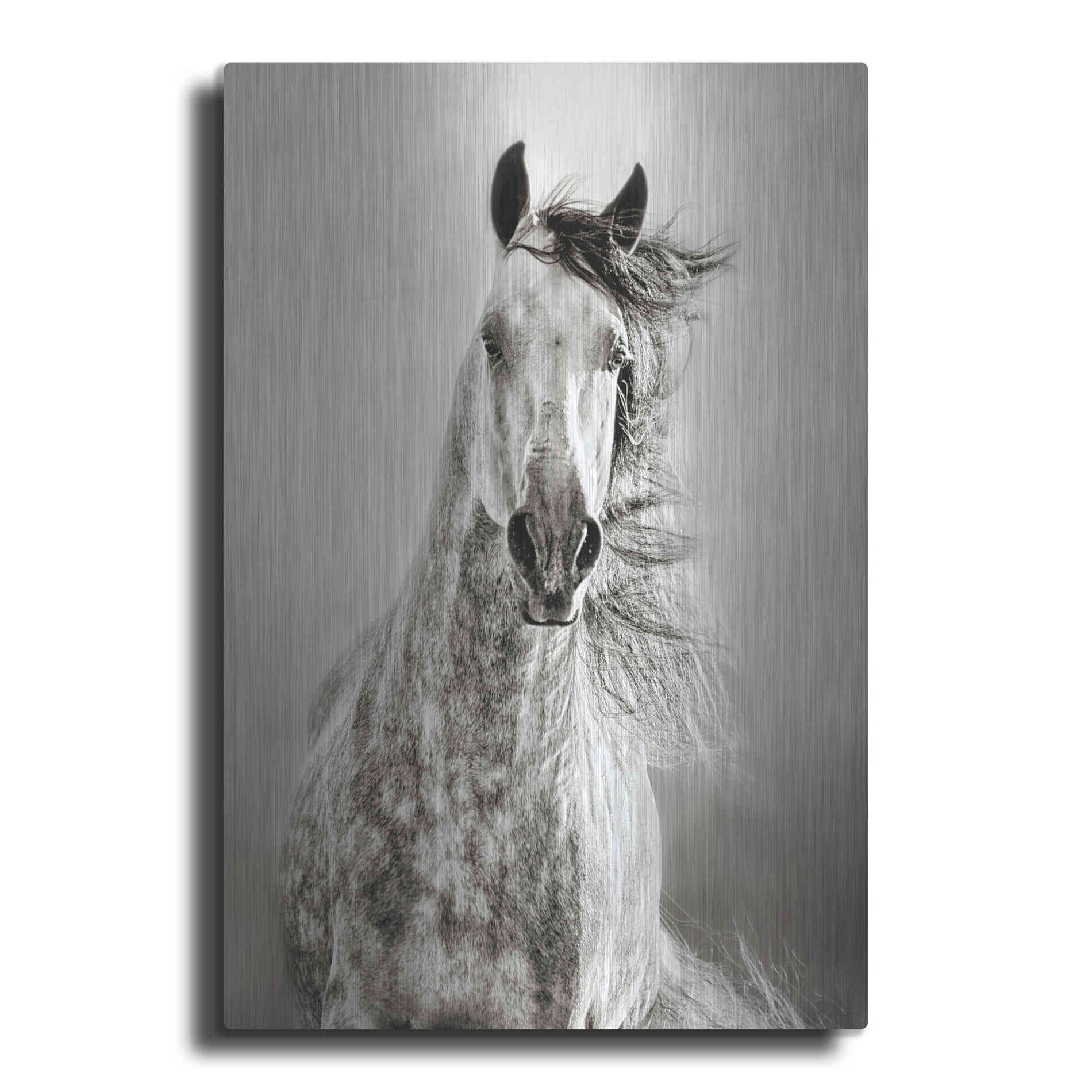 Luxe Metal Art 'Caballo de Andaluz' by Lisa Dearing, Metal Wall Art
