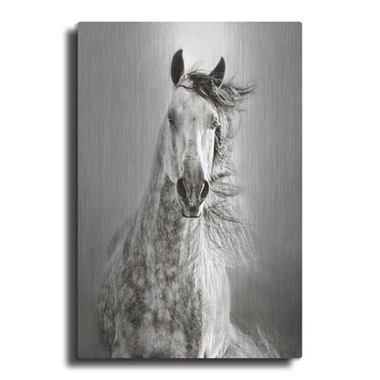 Luxe Metal Art 'Caballo de Andaluz' by Lisa Dearing, Metal Wall Art
