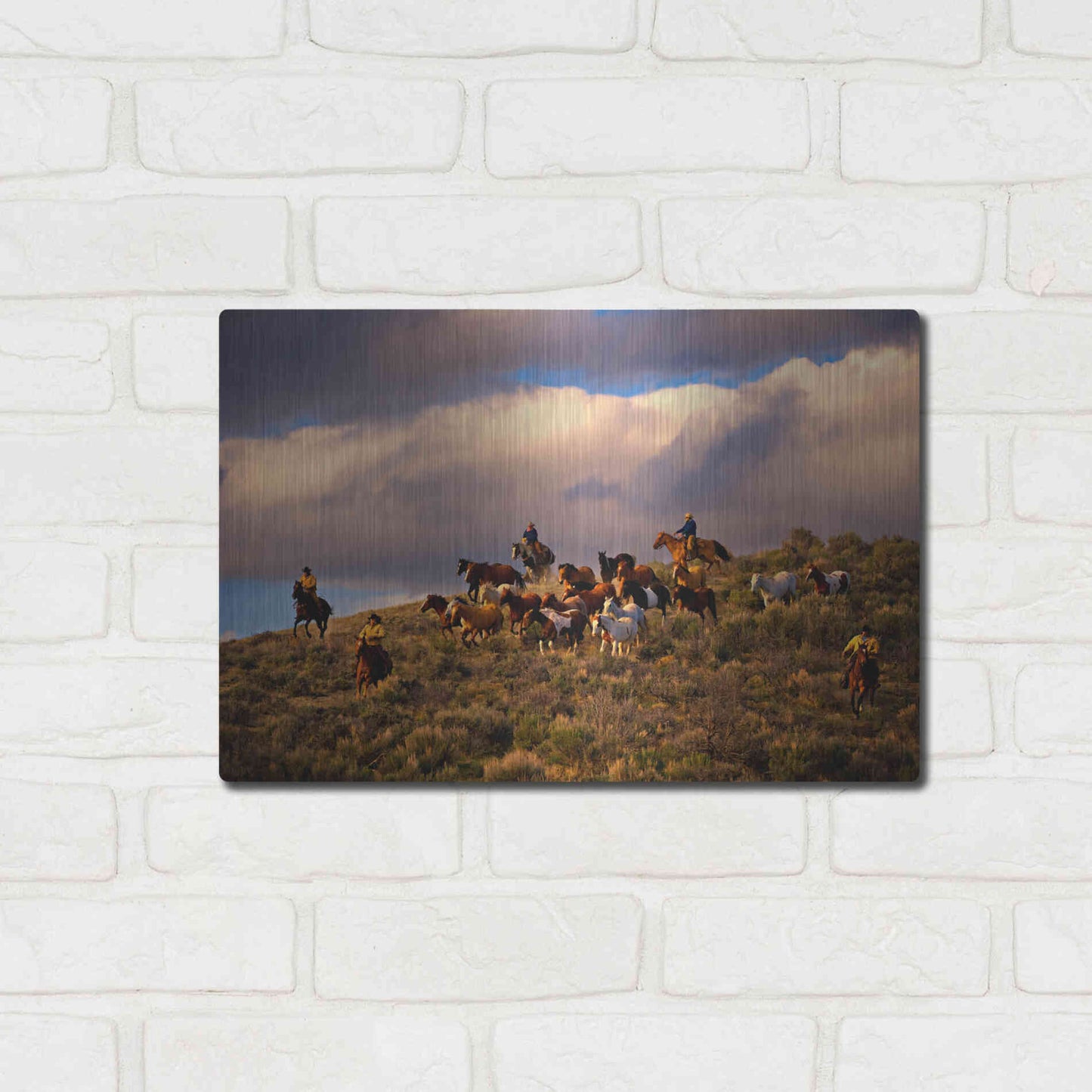 Luxe Metal Art 'Chasing Thunder' by Lisa Dearing, Metal Wall Art,16x12