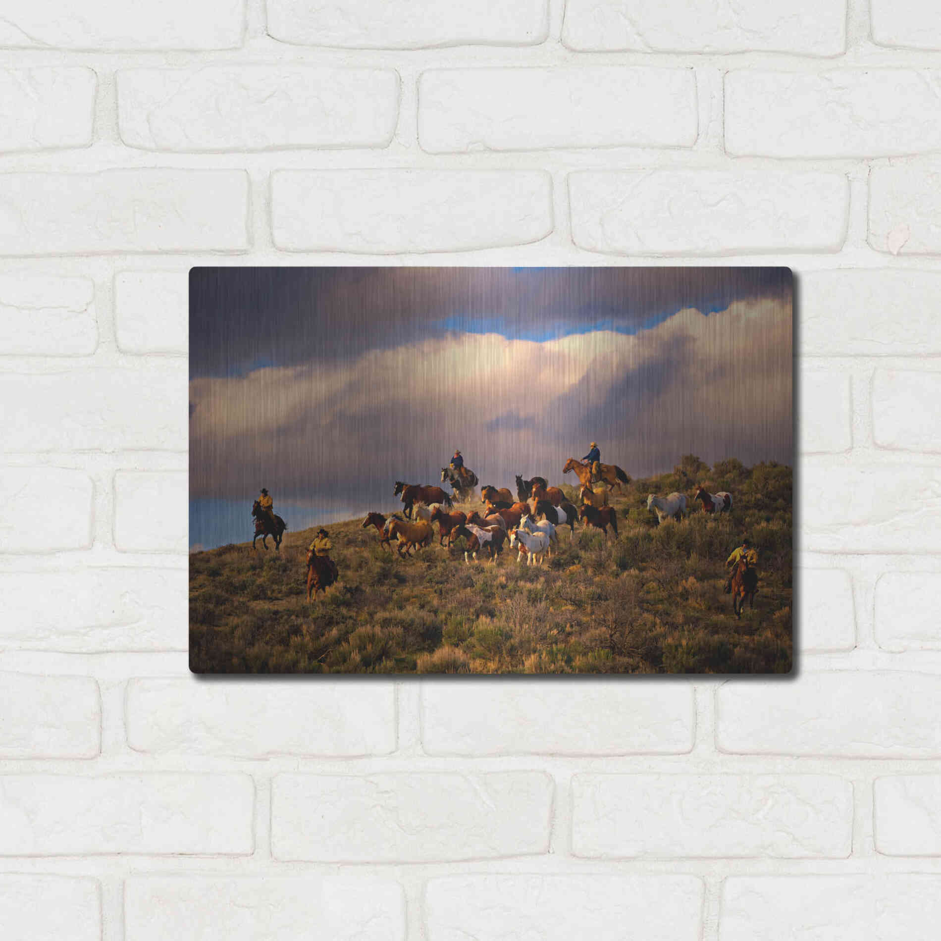 Luxe Metal Art 'Chasing Thunder' by Lisa Dearing, Metal Wall Art,16x12