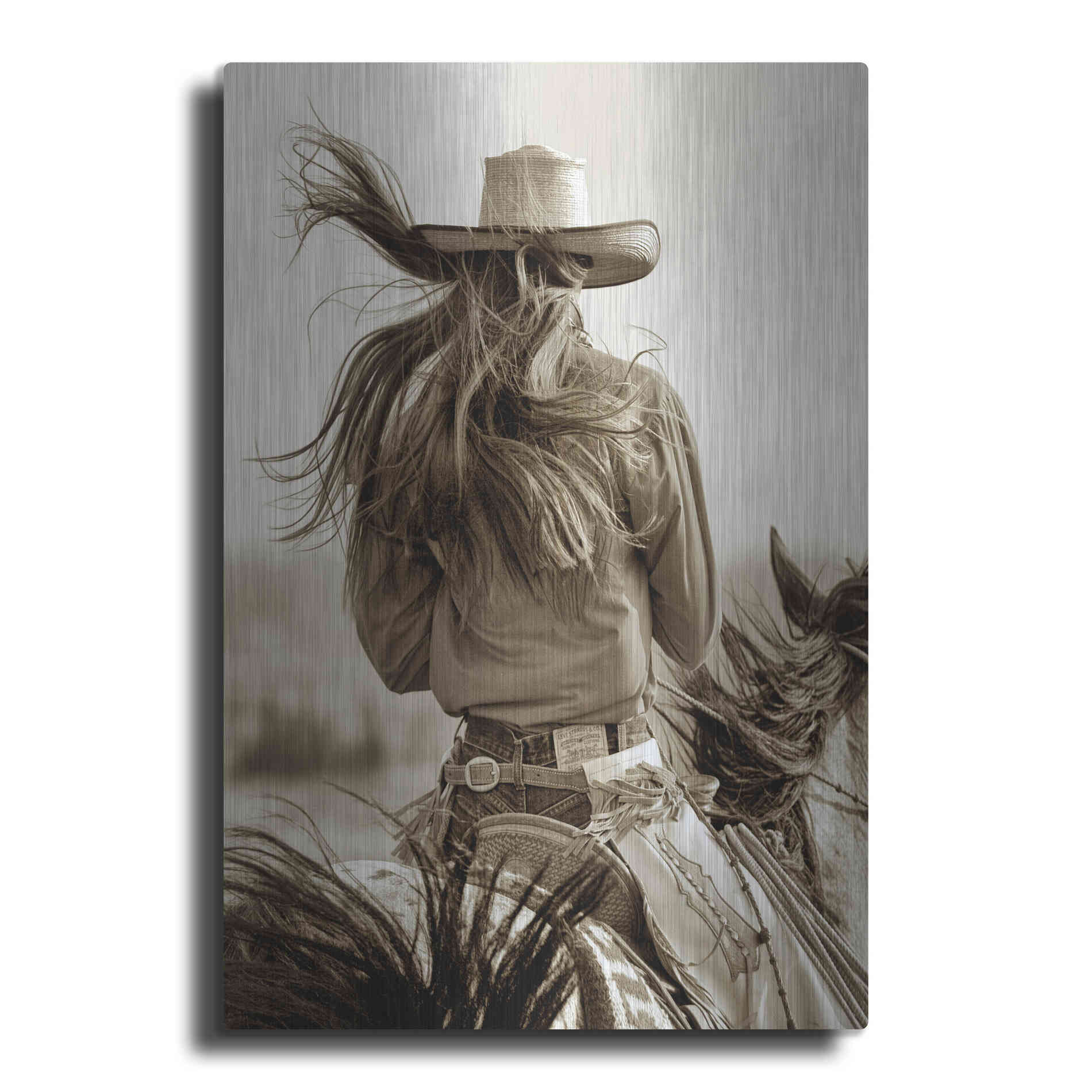 Luxe Metal Art 'Cowgirl' by Lisa Dearing, Metal Wall Art