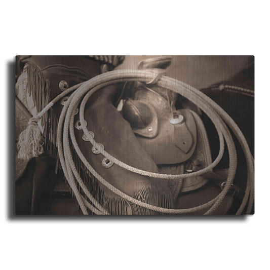 Luxe Metal Art 'Cowgirls Lasso' by Lisa Dearing, Metal Wall Art