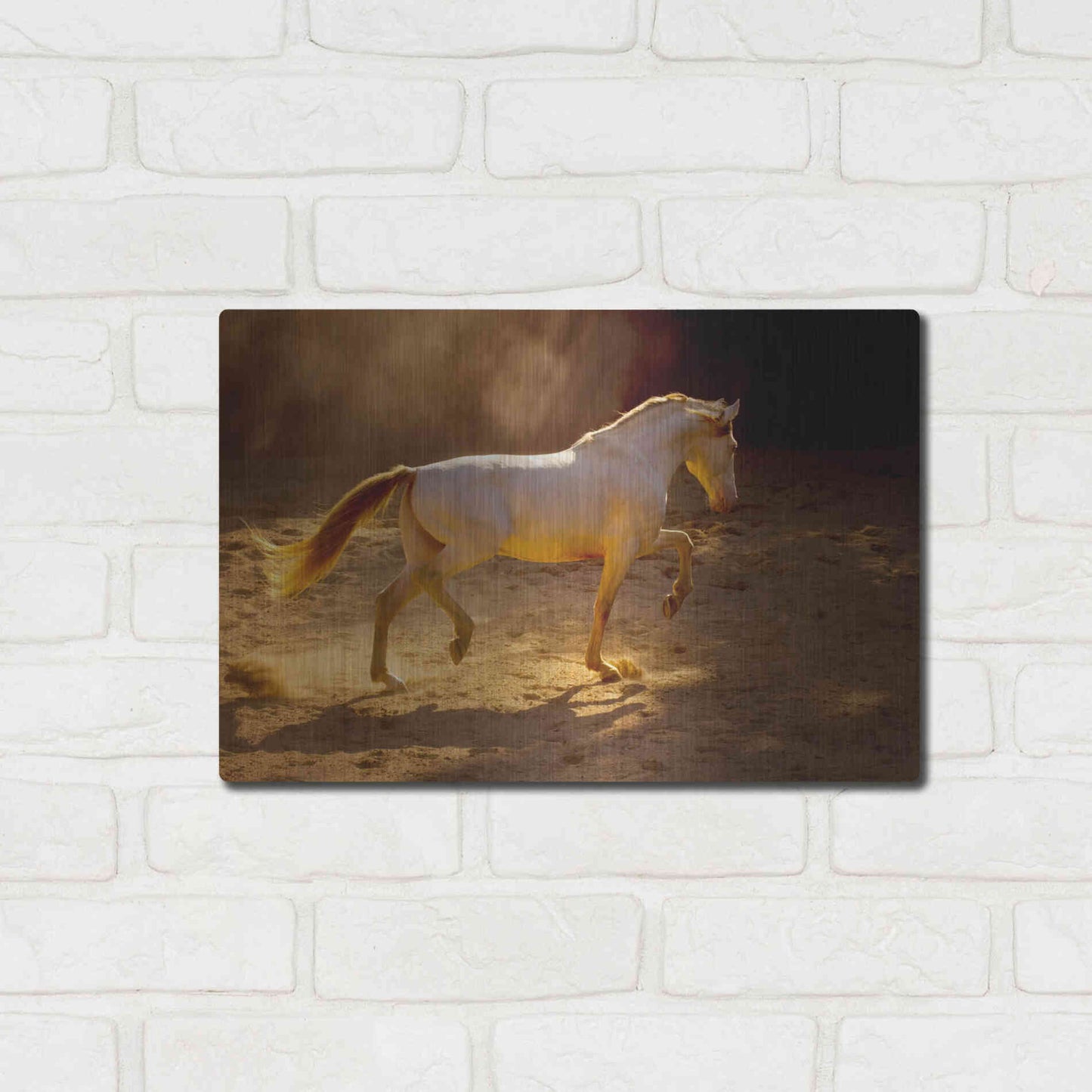 Luxe Metal Art 'Dancing In The Light' by Lisa Dearing, Metal Wall Art,16x12