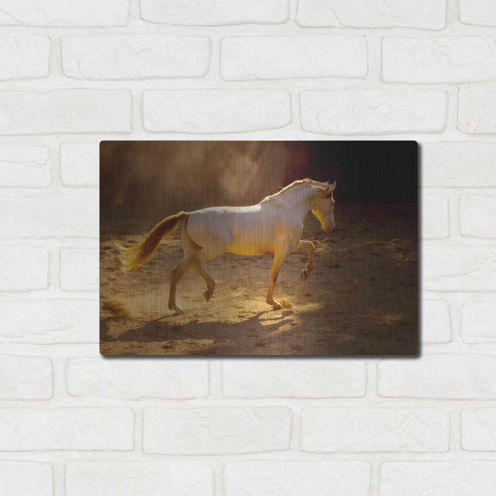 Luxe Metal Art 'Dancing In The Light' by Lisa Dearing, Metal Wall Art,16x12