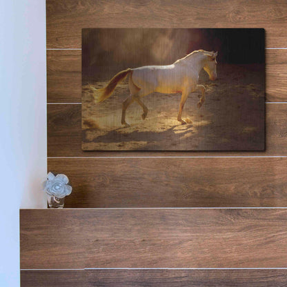 Luxe Metal Art 'Dancing In The Light' by Lisa Dearing, Metal Wall Art,16x12