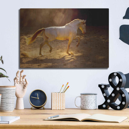 Luxe Metal Art 'Dancing In The Light' by Lisa Dearing, Metal Wall Art,16x12