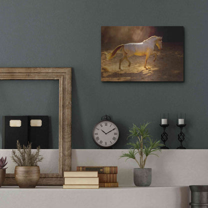 Luxe Metal Art 'Dancing In The Light' by Lisa Dearing, Metal Wall Art,16x12