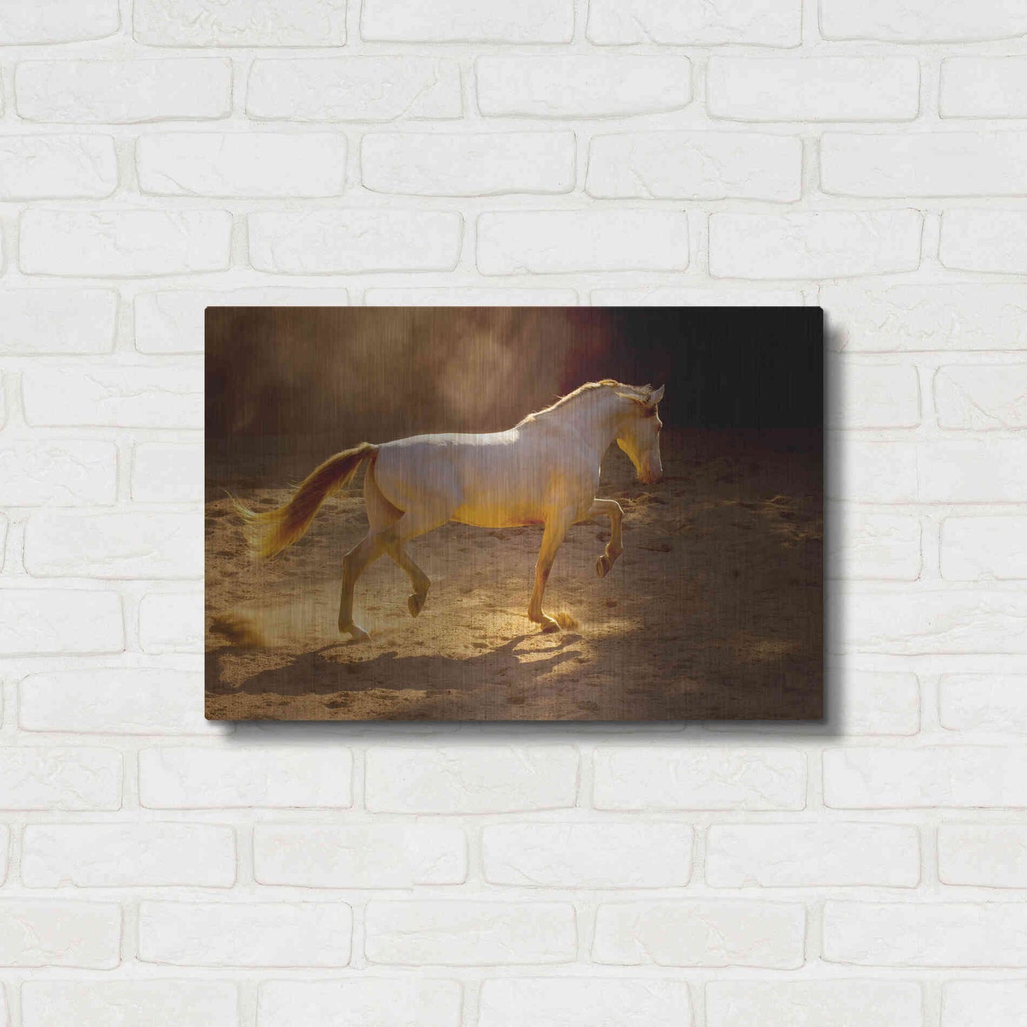 Luxe Metal Art 'Dancing In The Light' by Lisa Dearing, Metal Wall Art,24x16