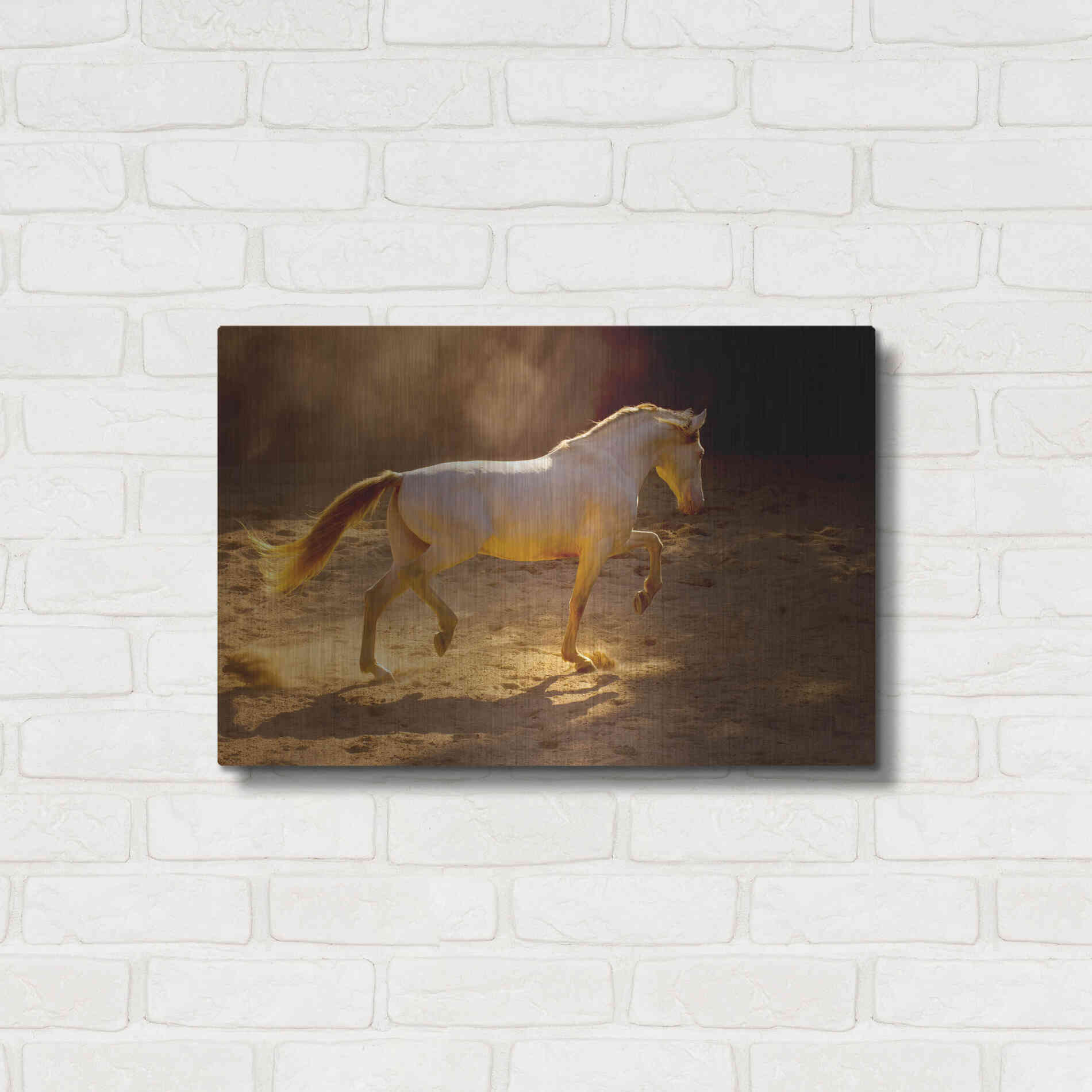 Luxe Metal Art 'Dancing In The Light' by Lisa Dearing, Metal Wall Art,24x16