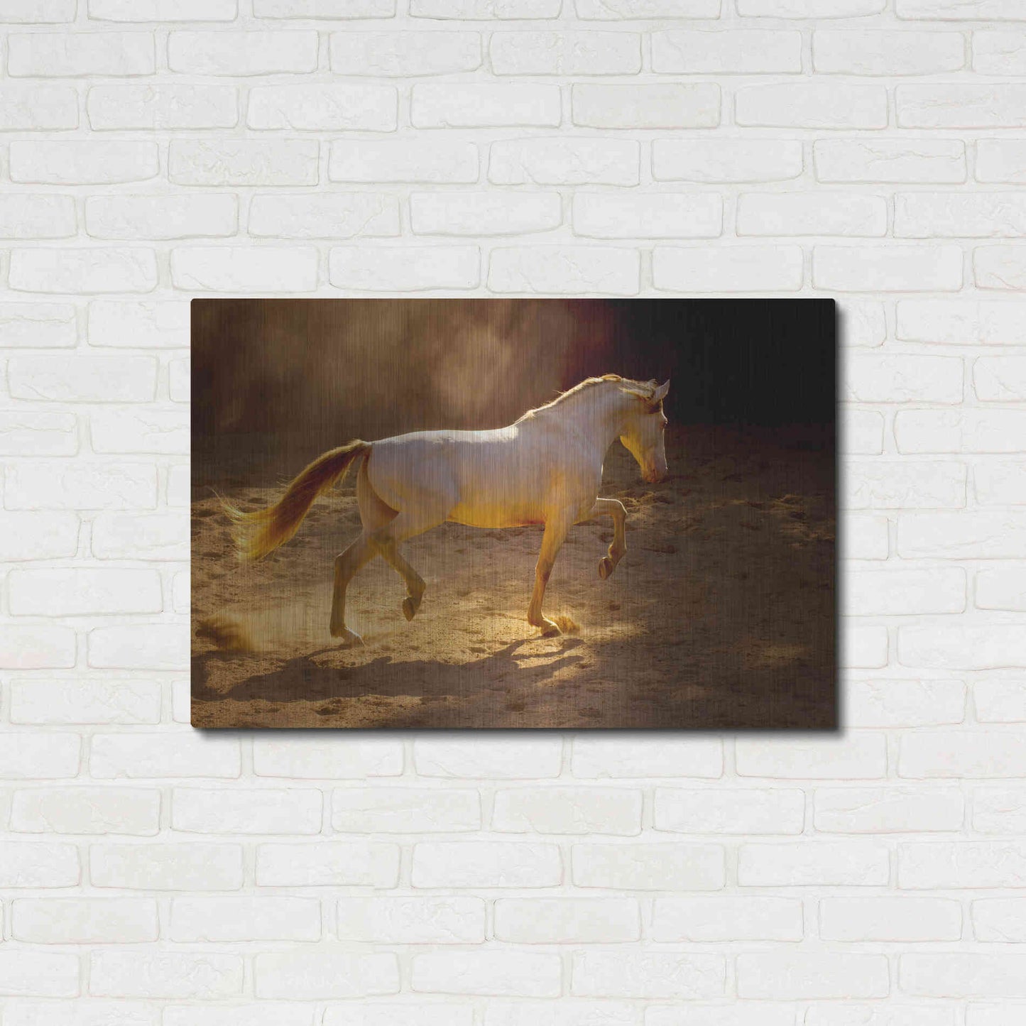 Luxe Metal Art 'Dancing In The Light' by Lisa Dearing, Metal Wall Art,36x24