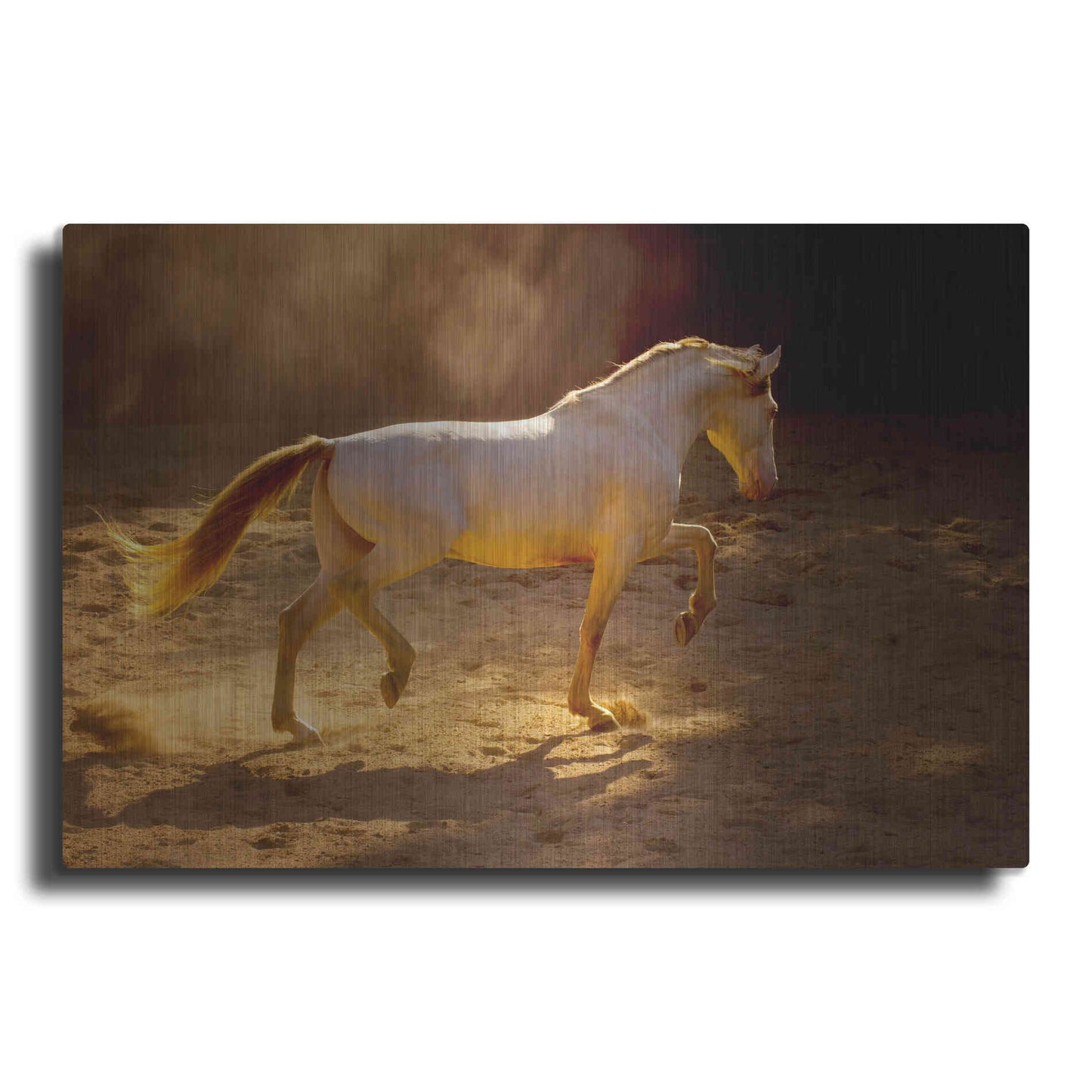 Luxe Metal Art 'Dancing In The Light' by Lisa Dearing, Metal Wall Art