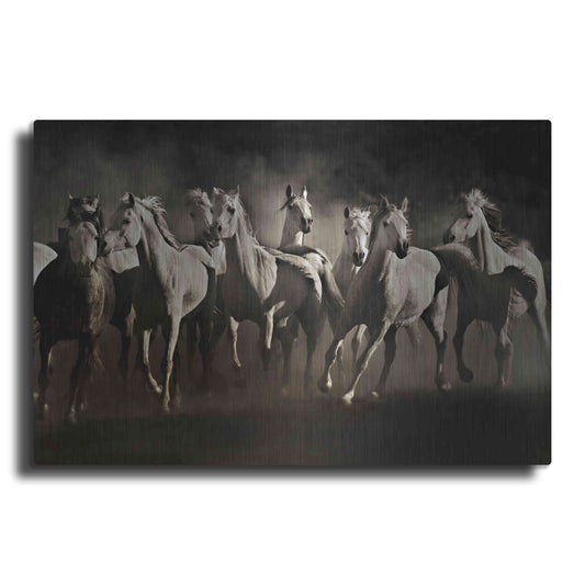 Luxe Metal Art 'Dream Horses' by Lisa Dearing, Metal Wall Art