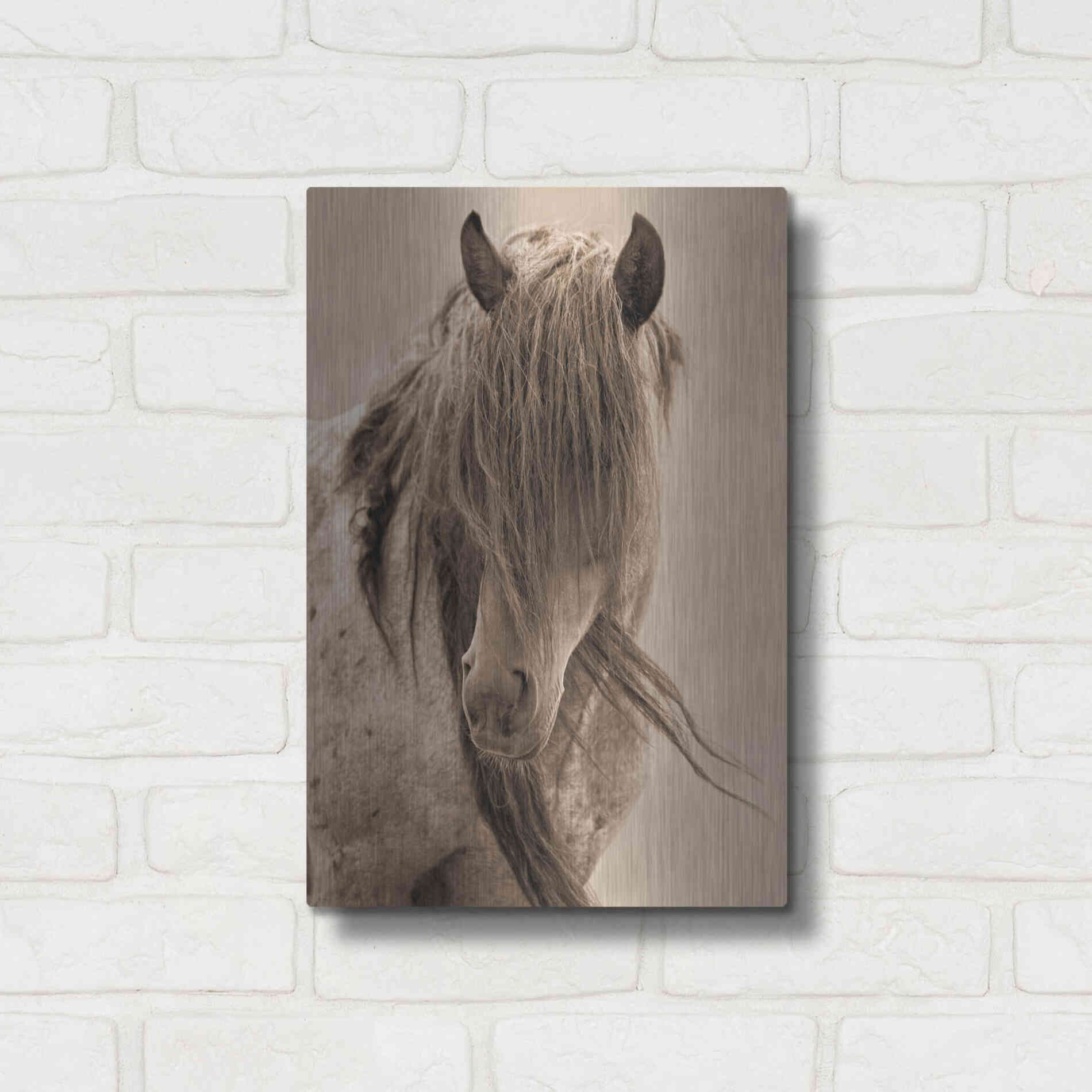 Luxe Metal Art 'Freedom' by Lisa Dearing, Metal Wall Art,12x16